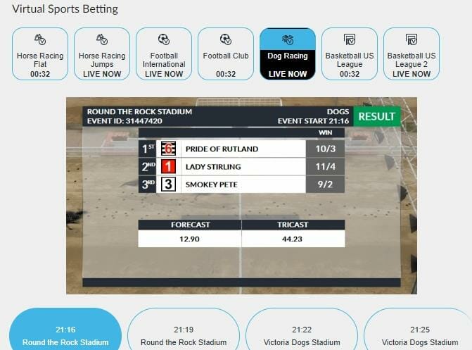 Odds displayed for virtual greyhound race at BetVictor